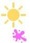 Sommer im Garten neu